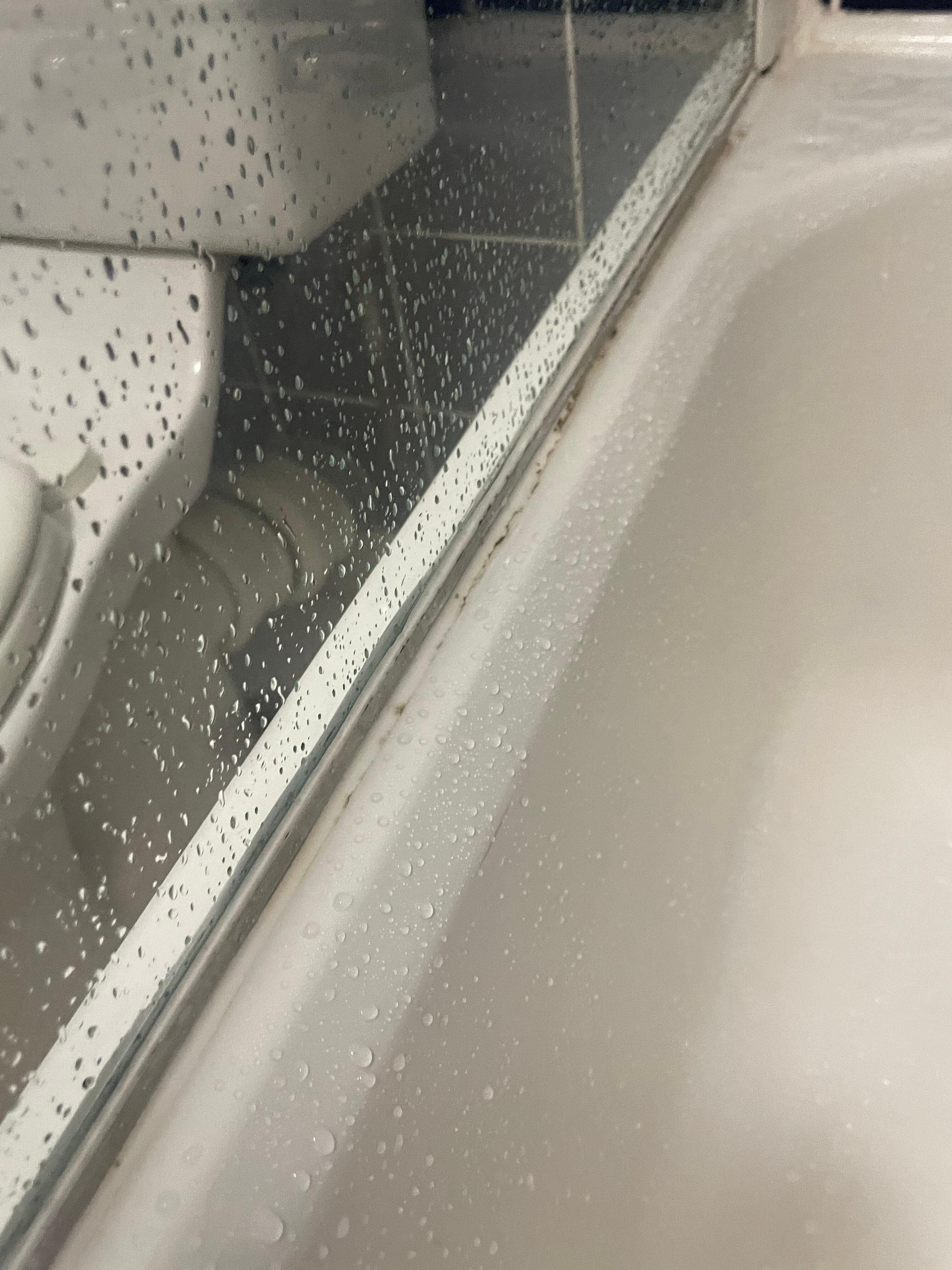 Dirty shower panel 