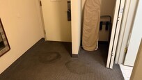Carpet