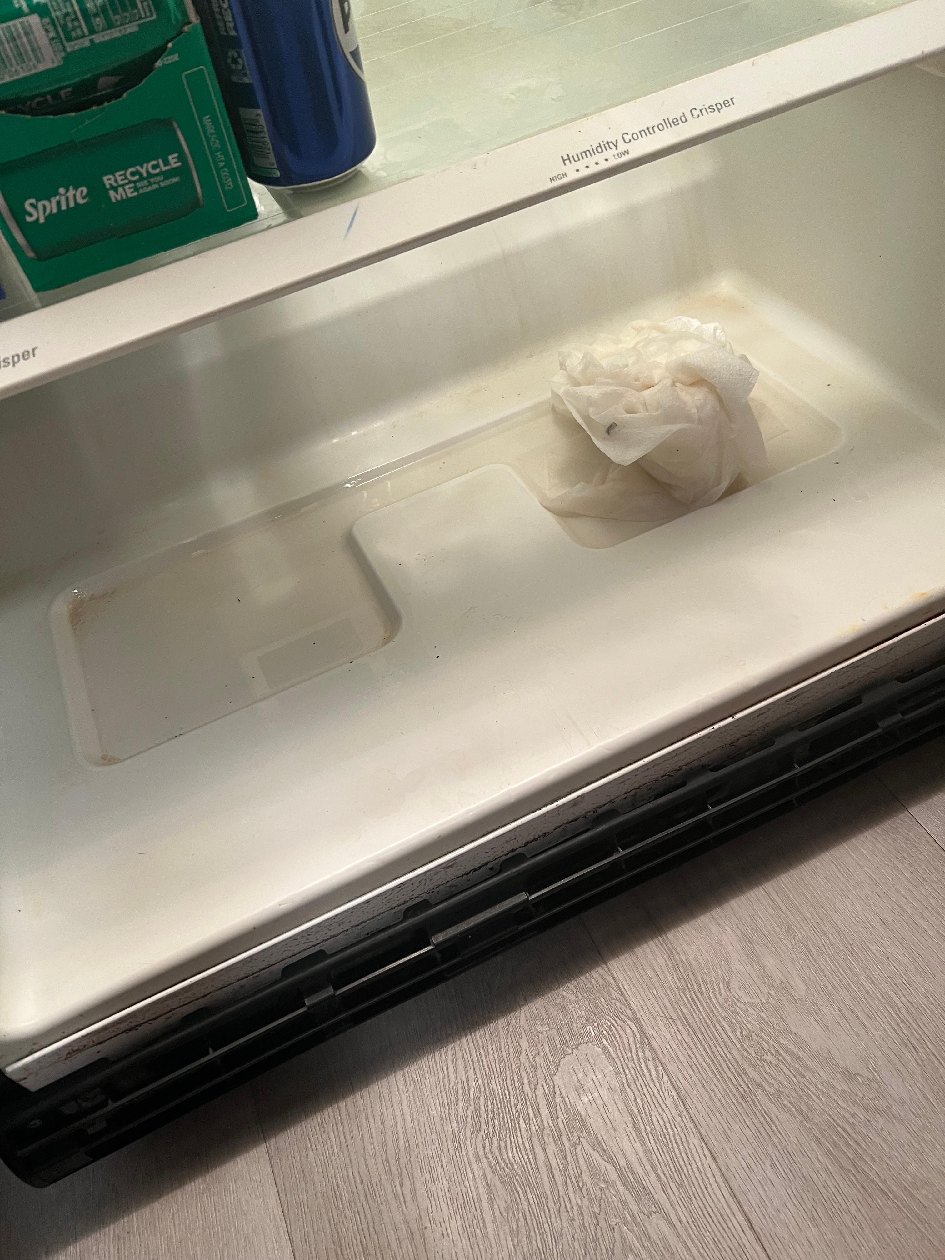 Slimy water leak in refrigerator three drawers that are removed. One was half full. The other was a quarter full of slimy water.