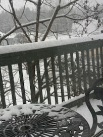 4 inches of snow by mext morning.
Our steps and the parking lot were swept clean in the morning