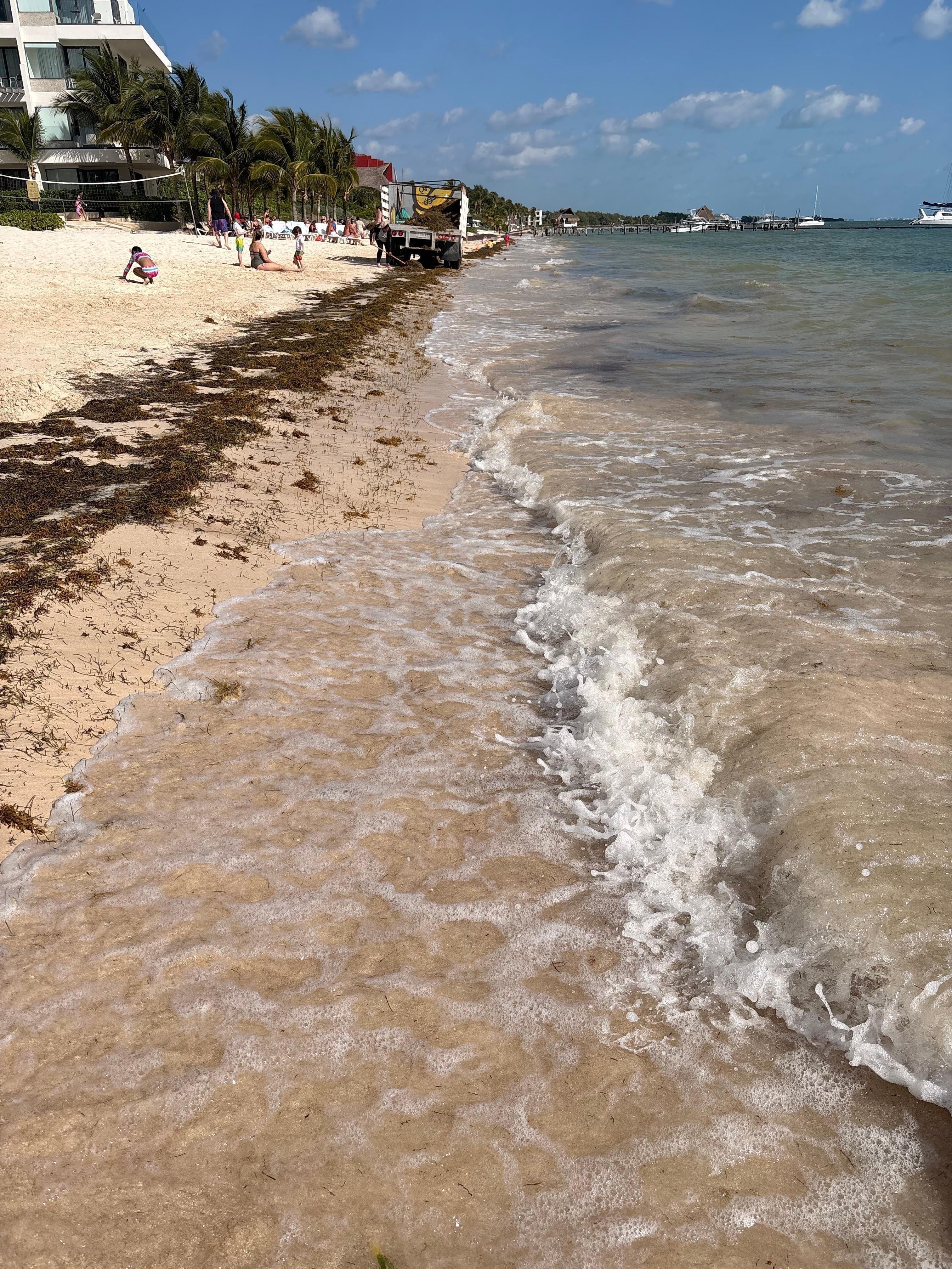 Beach with some seaweed 