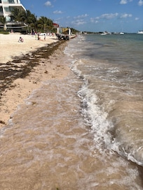 Beach with some seaweed