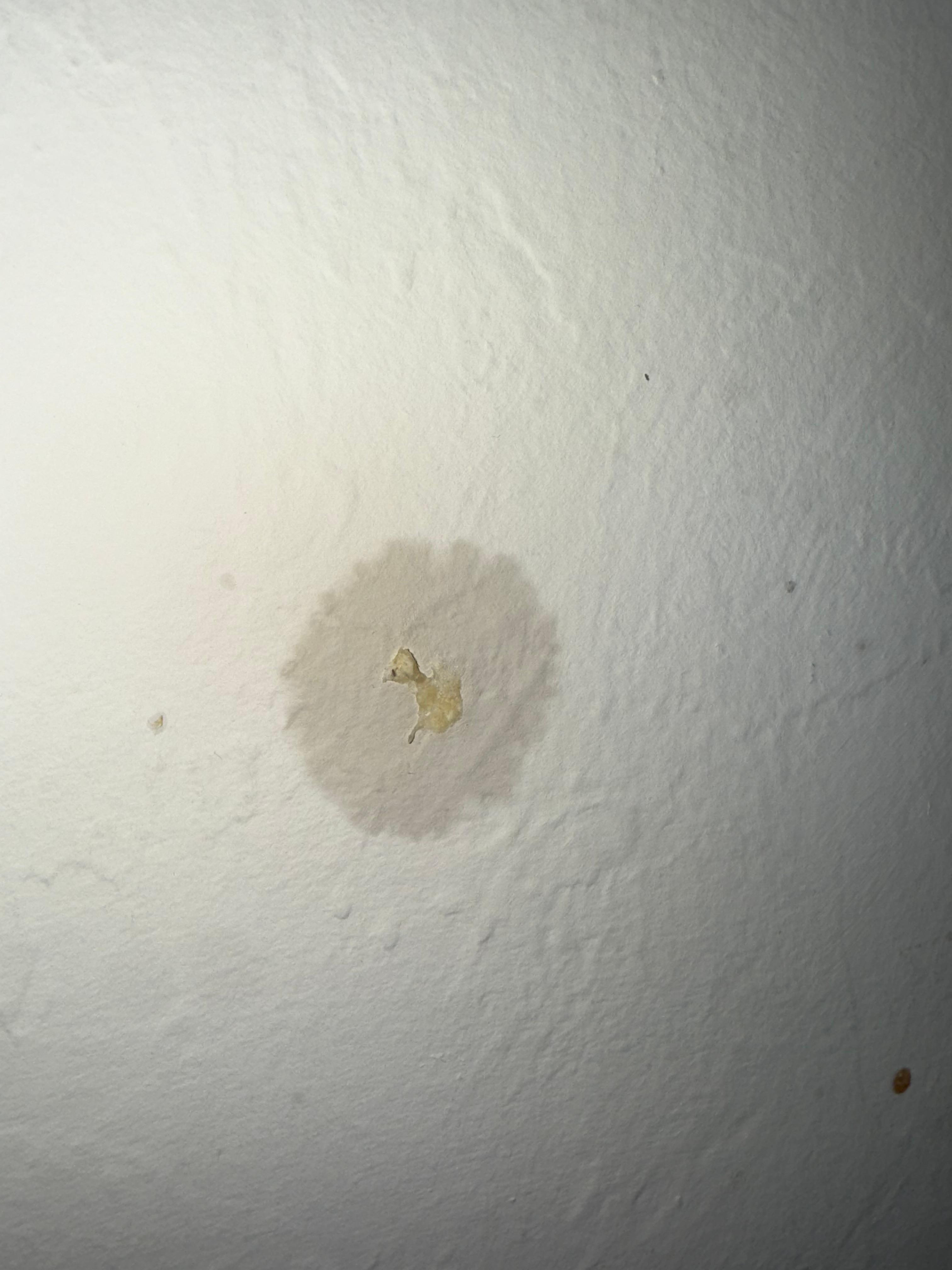 Multiple stained walls