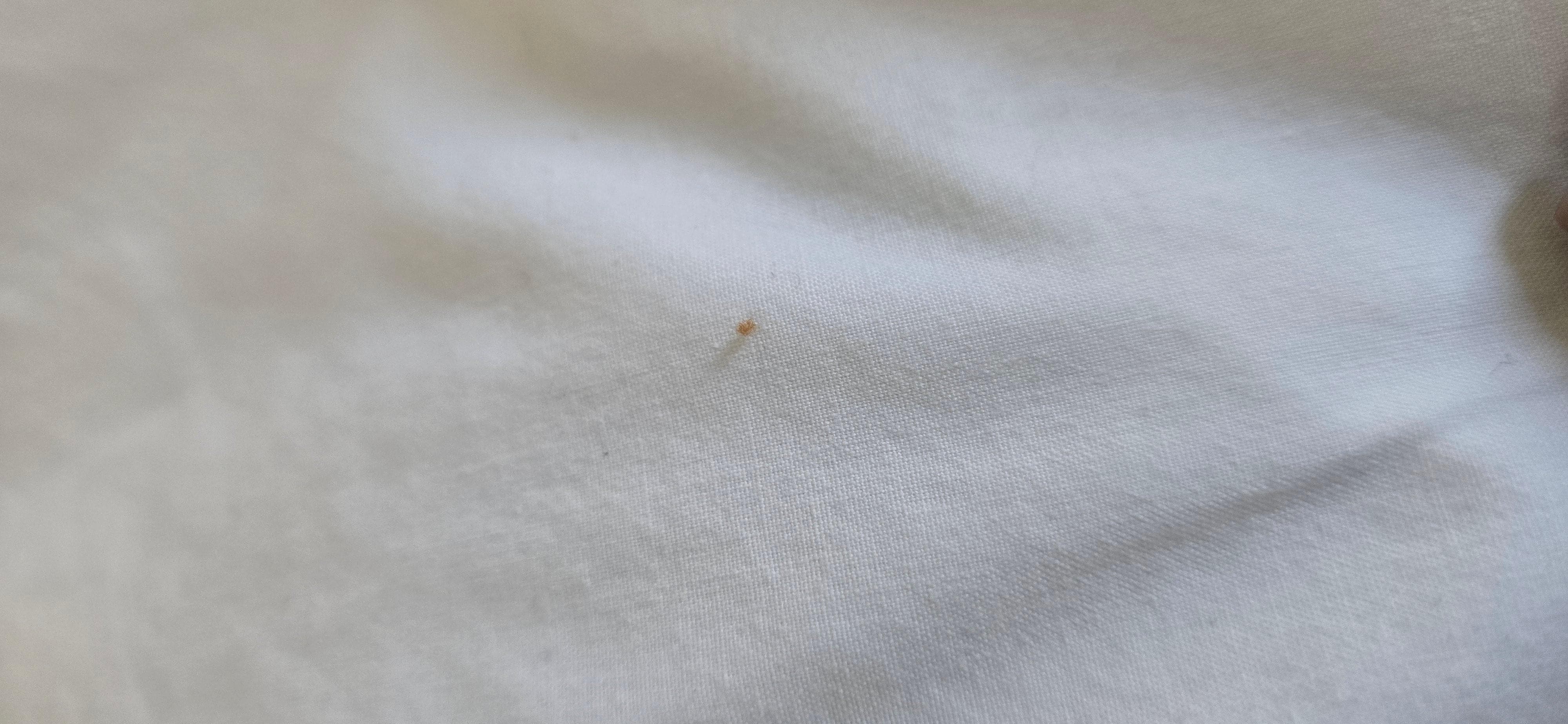 Bugs!!!