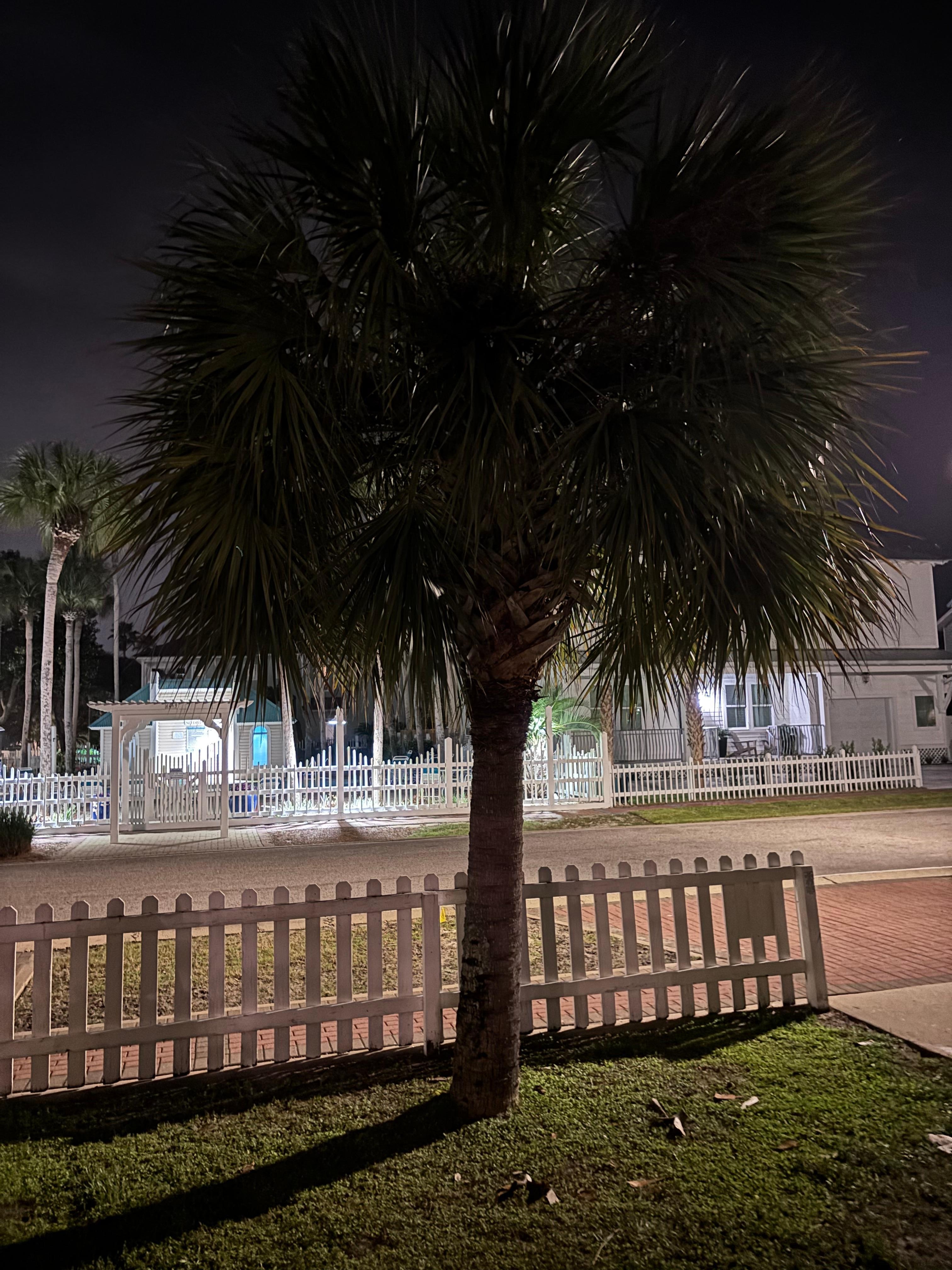 Beautiful pool directly across from the house! 
