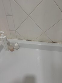 Mold in the shower