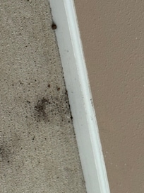 This room obviously wasn’t vacuumed
