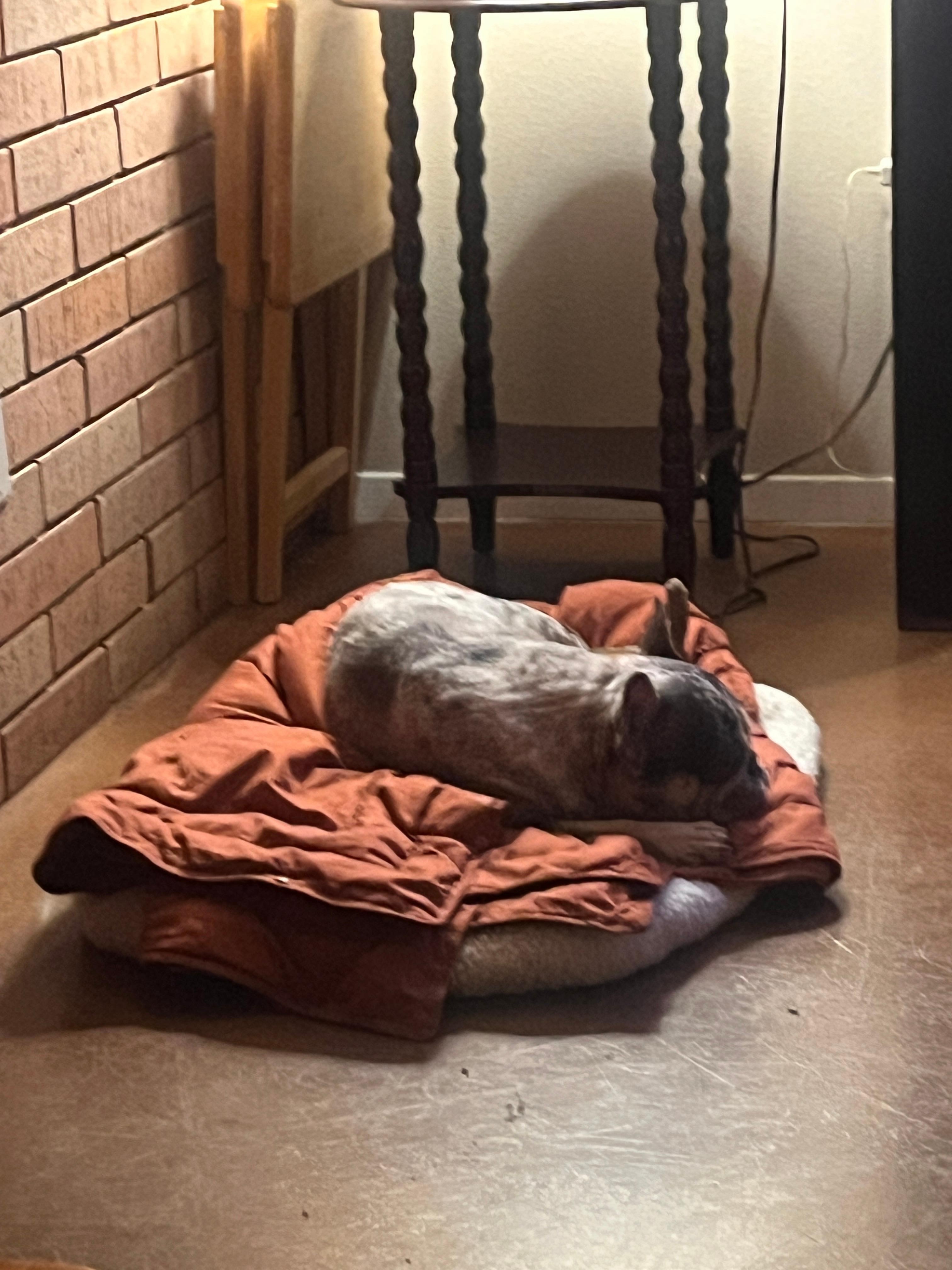 Forrest; he’s relaxing after dinner. 