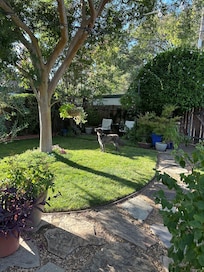 Willow enjoying the beautiful garden.