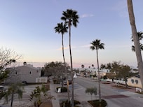 The view from the deck