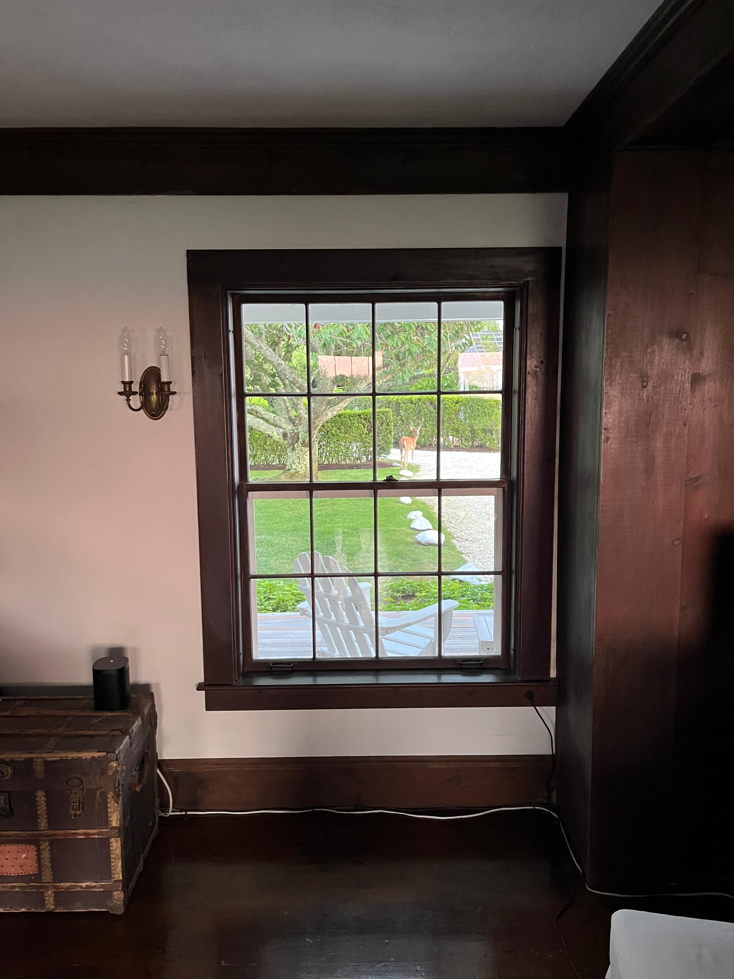 Zoom in to see one  of three deer we watched walk through the yard.