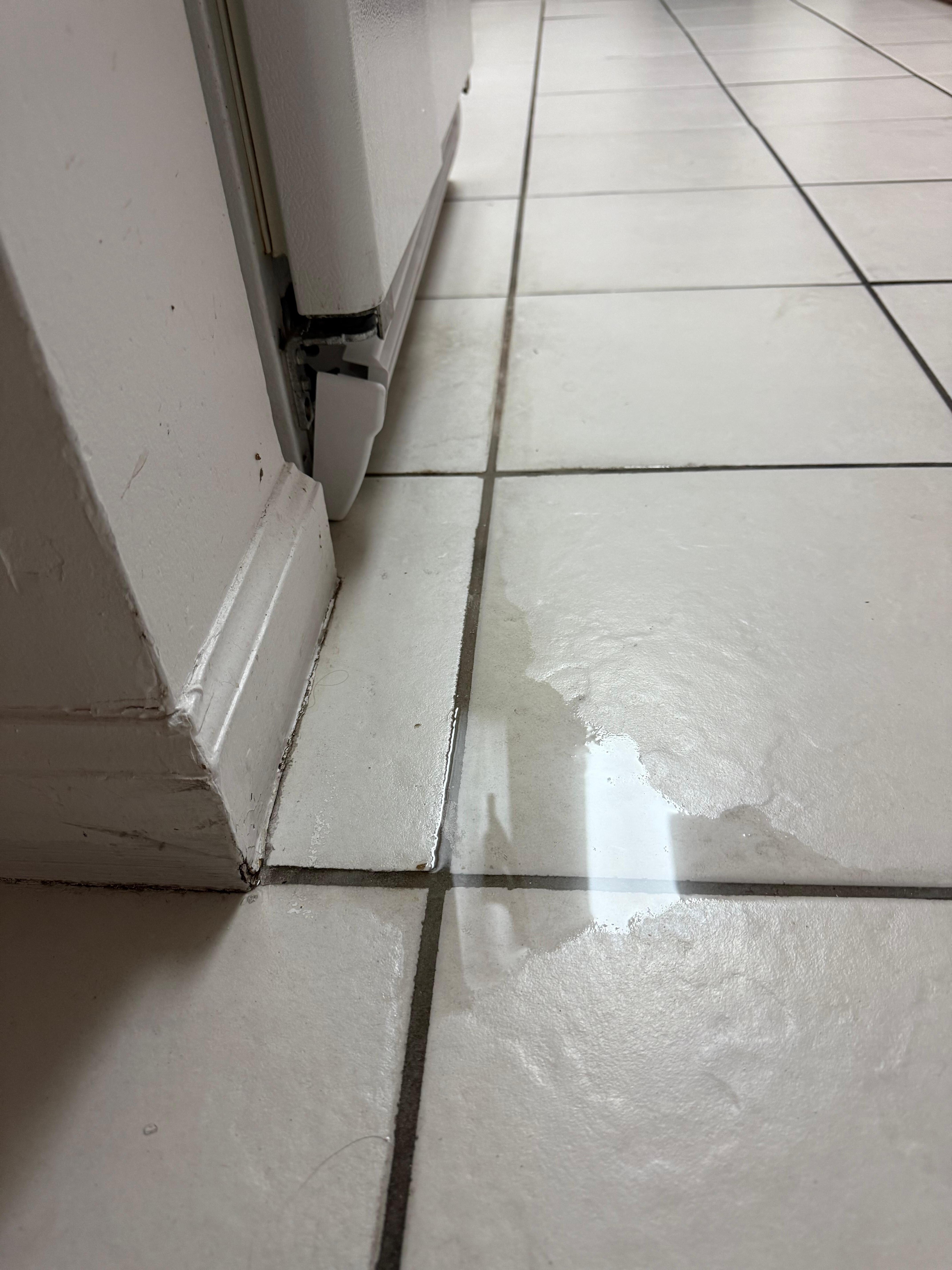 Water leak from ice maker that didn’t work