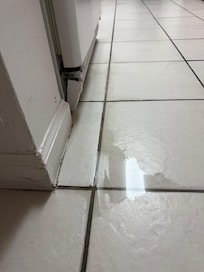 Water leak from ice maker that didnât work