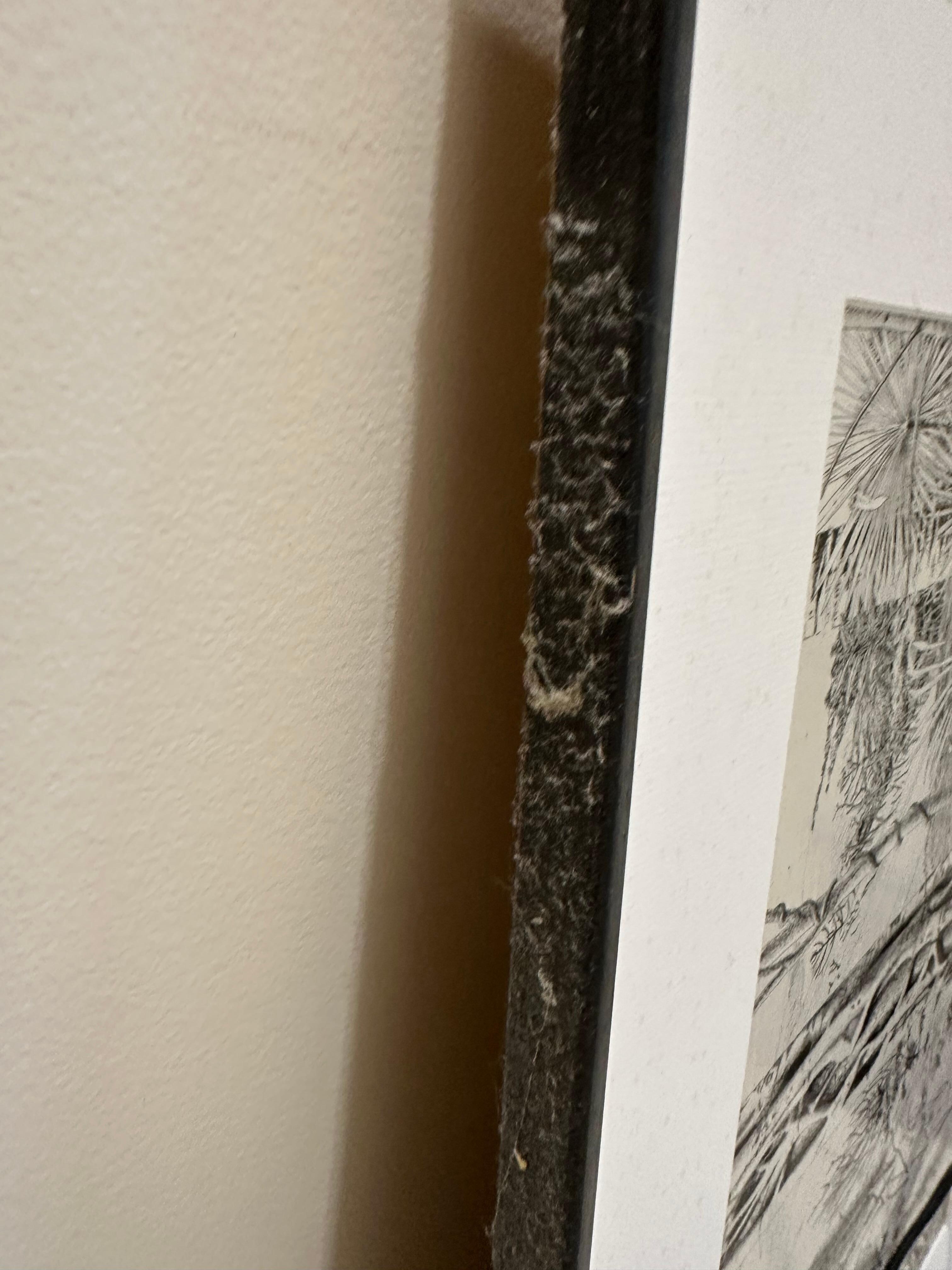 1 of many picture frames we had to clean thick dust off