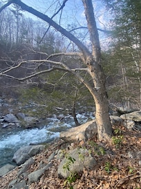 stream