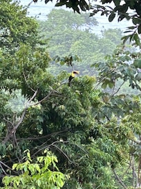 Sights right off our balcony during our morning coffee