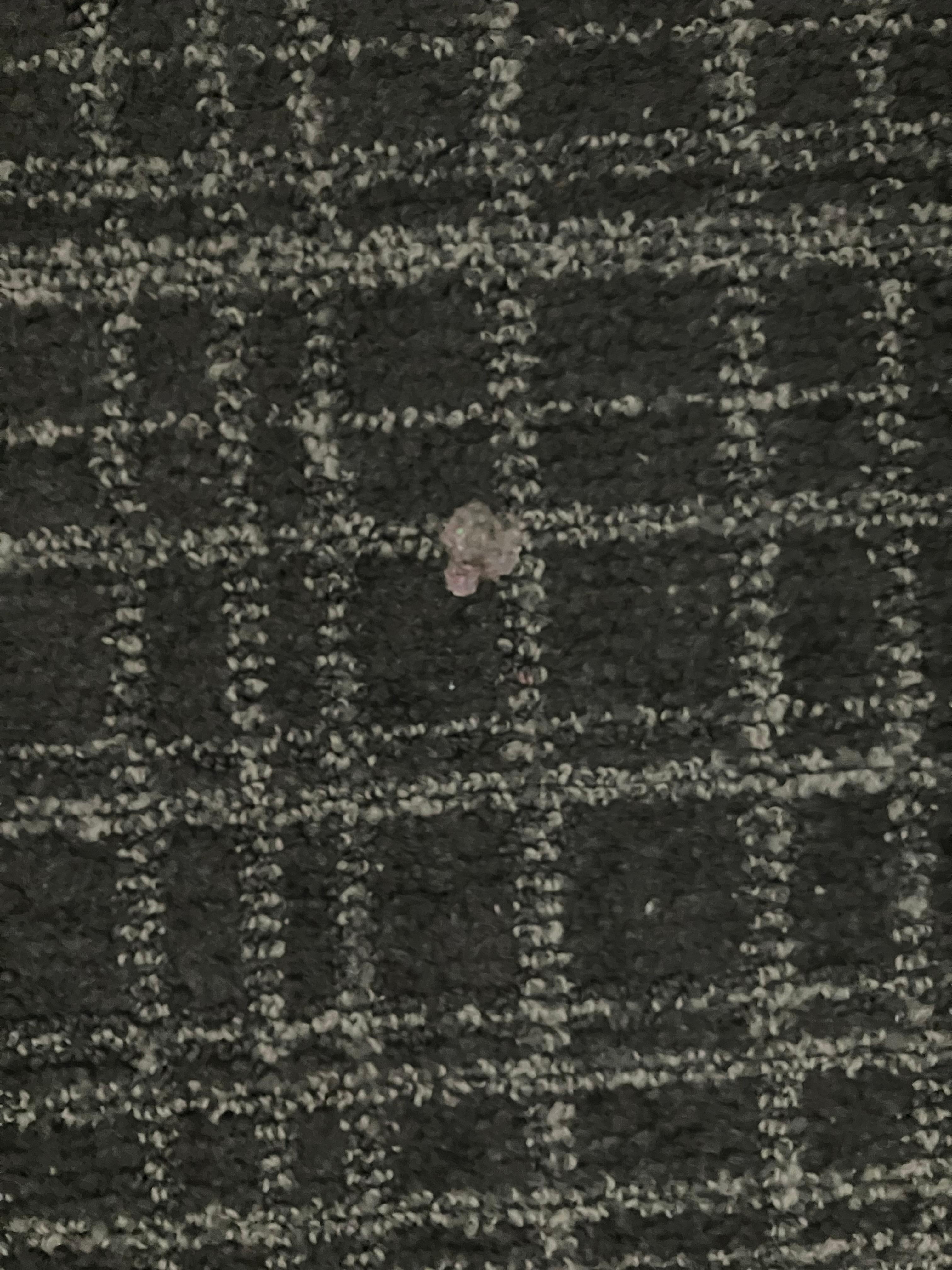 Stain on carpet between beds