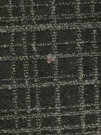 Stain on carpet between beds