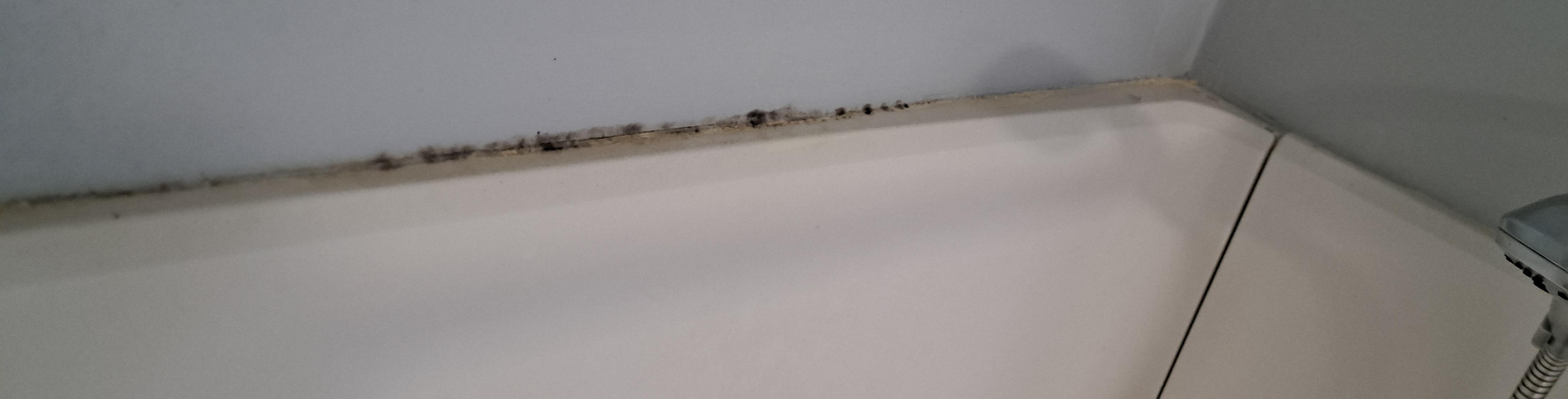Mold