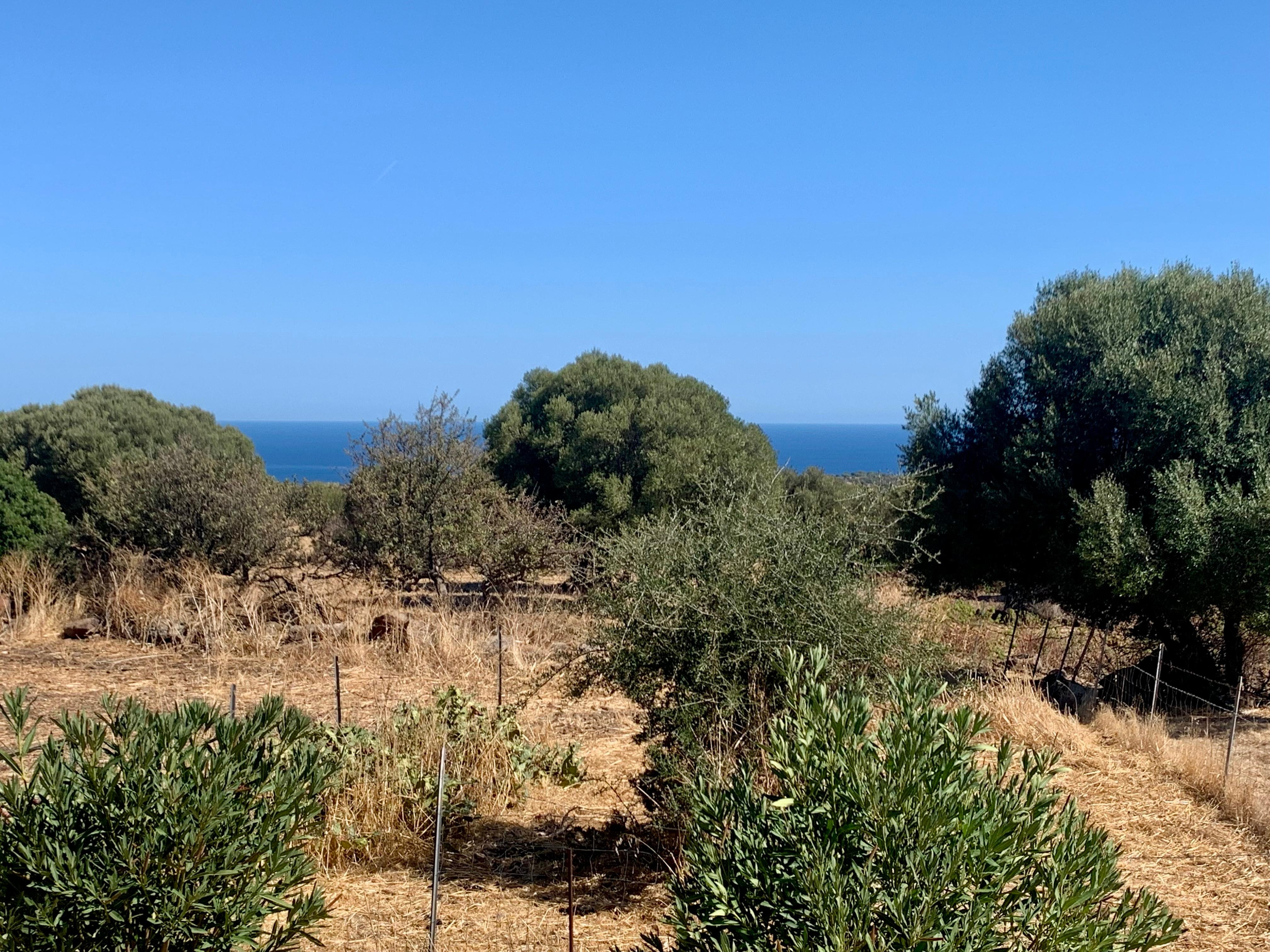 Blick von der Veranda