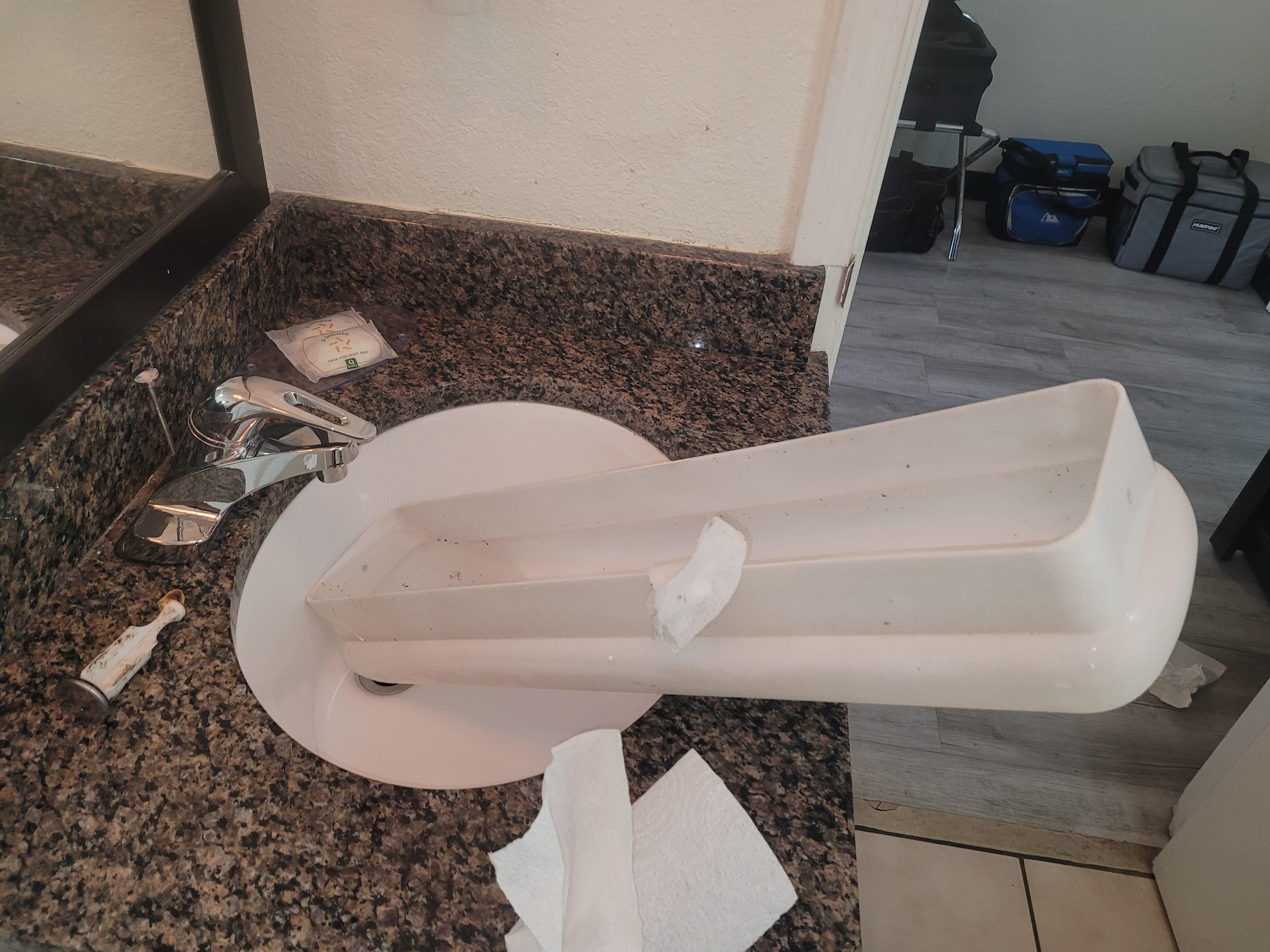 Bugs in the light fixture.