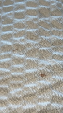 Blood stains on comforter