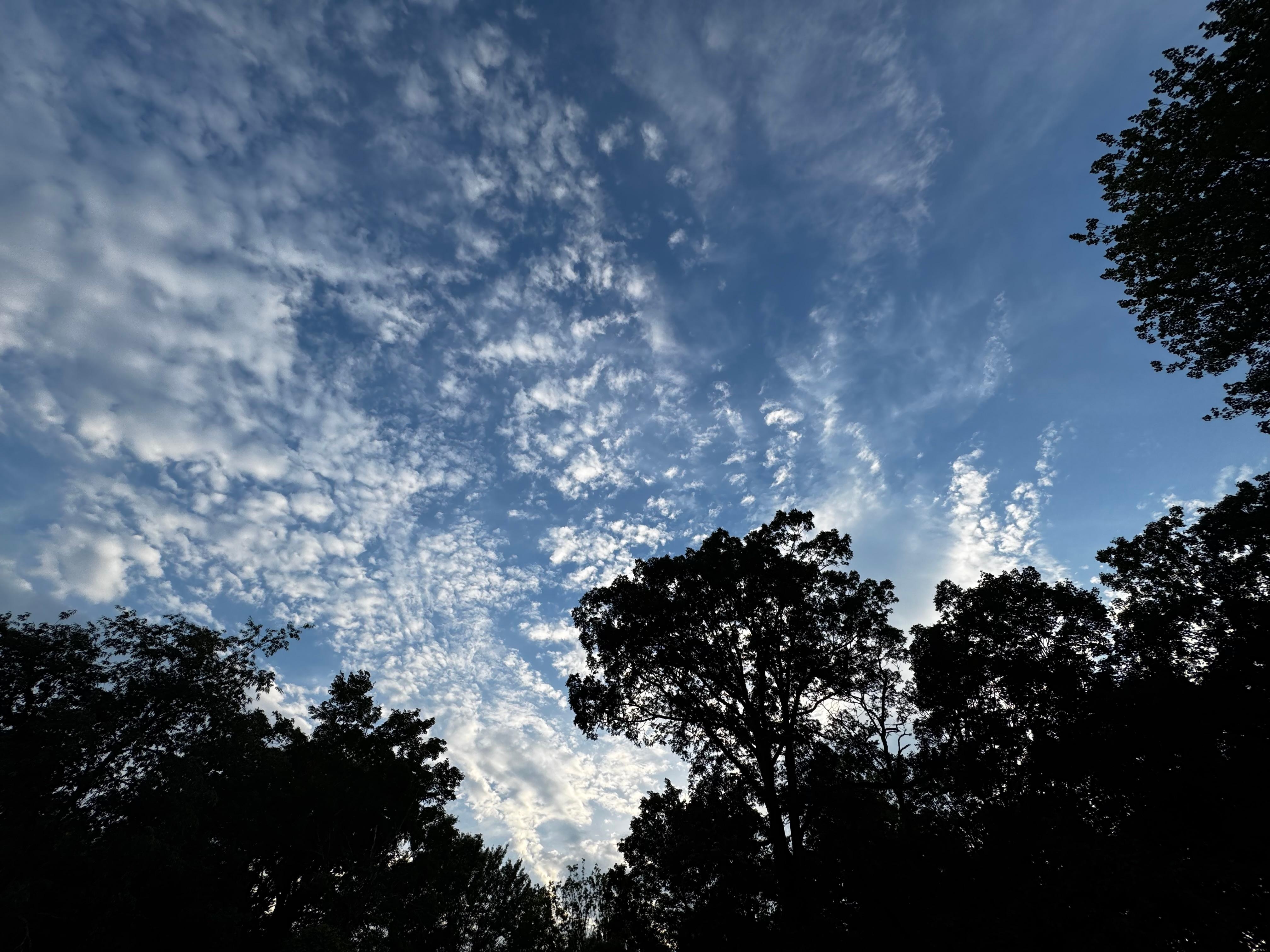 View from the back patio