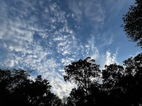 View from the back patio