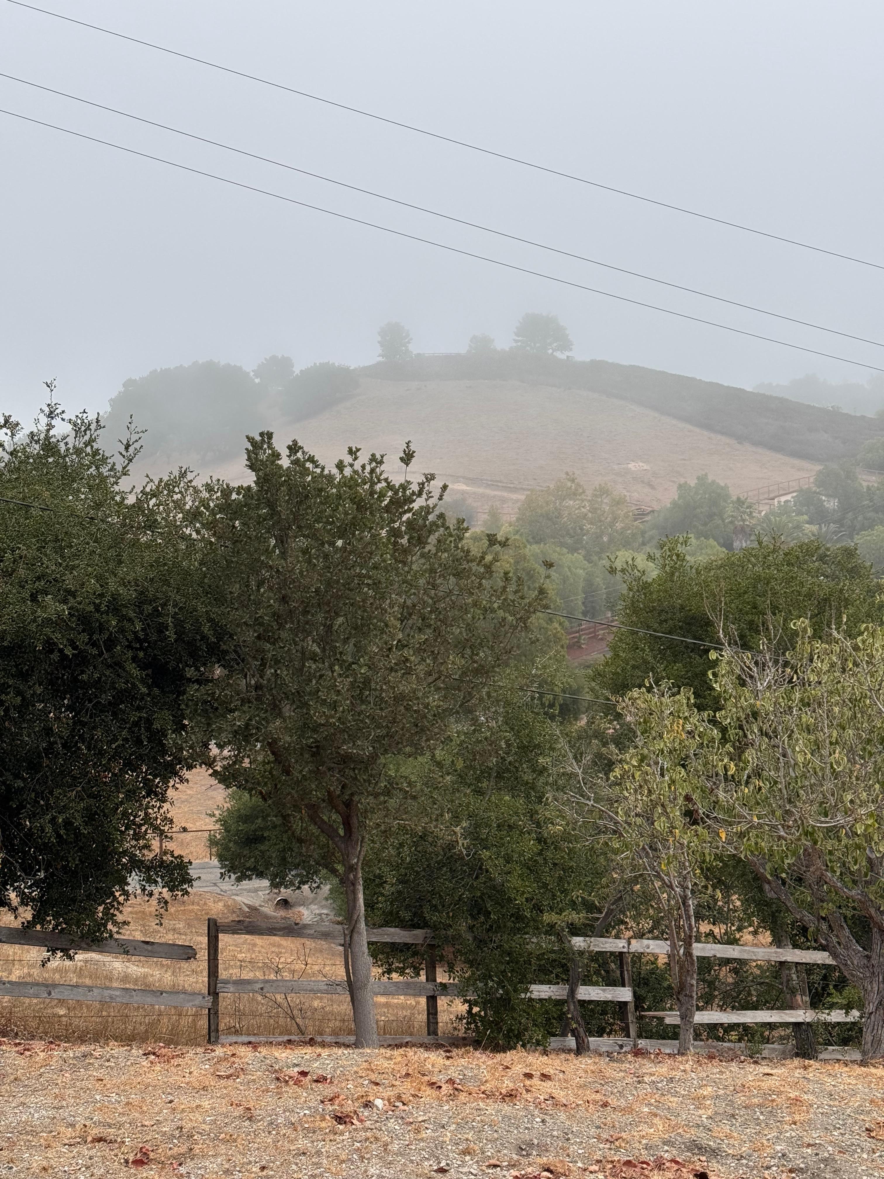 View from the back deck in the morning; marine layer up on the hill.
