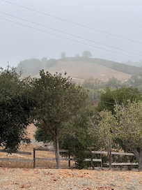 View from the back deck in the morning; marine layer up on the hill.