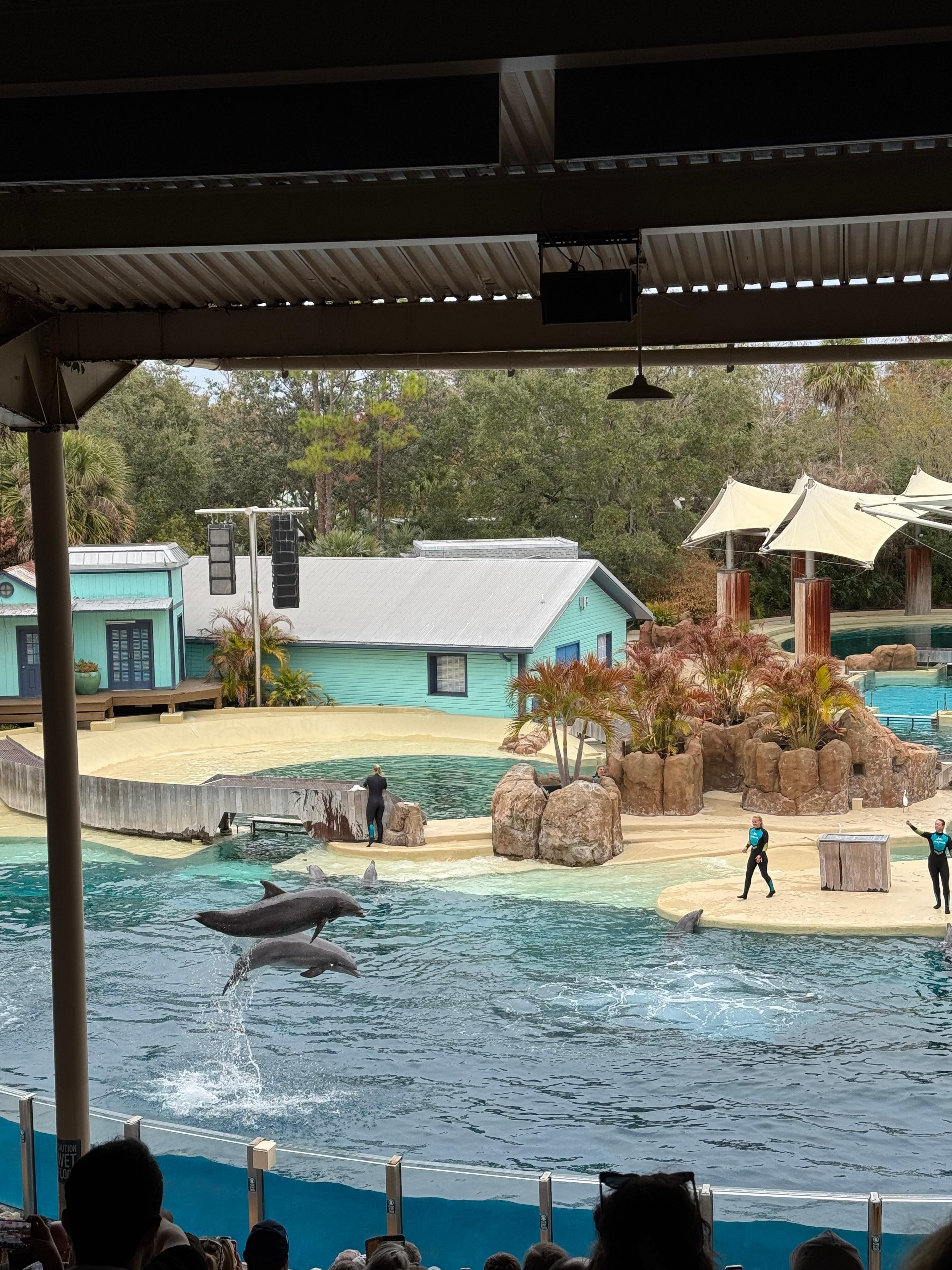 Sea World