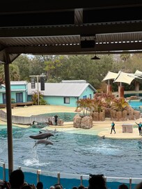 Sea World