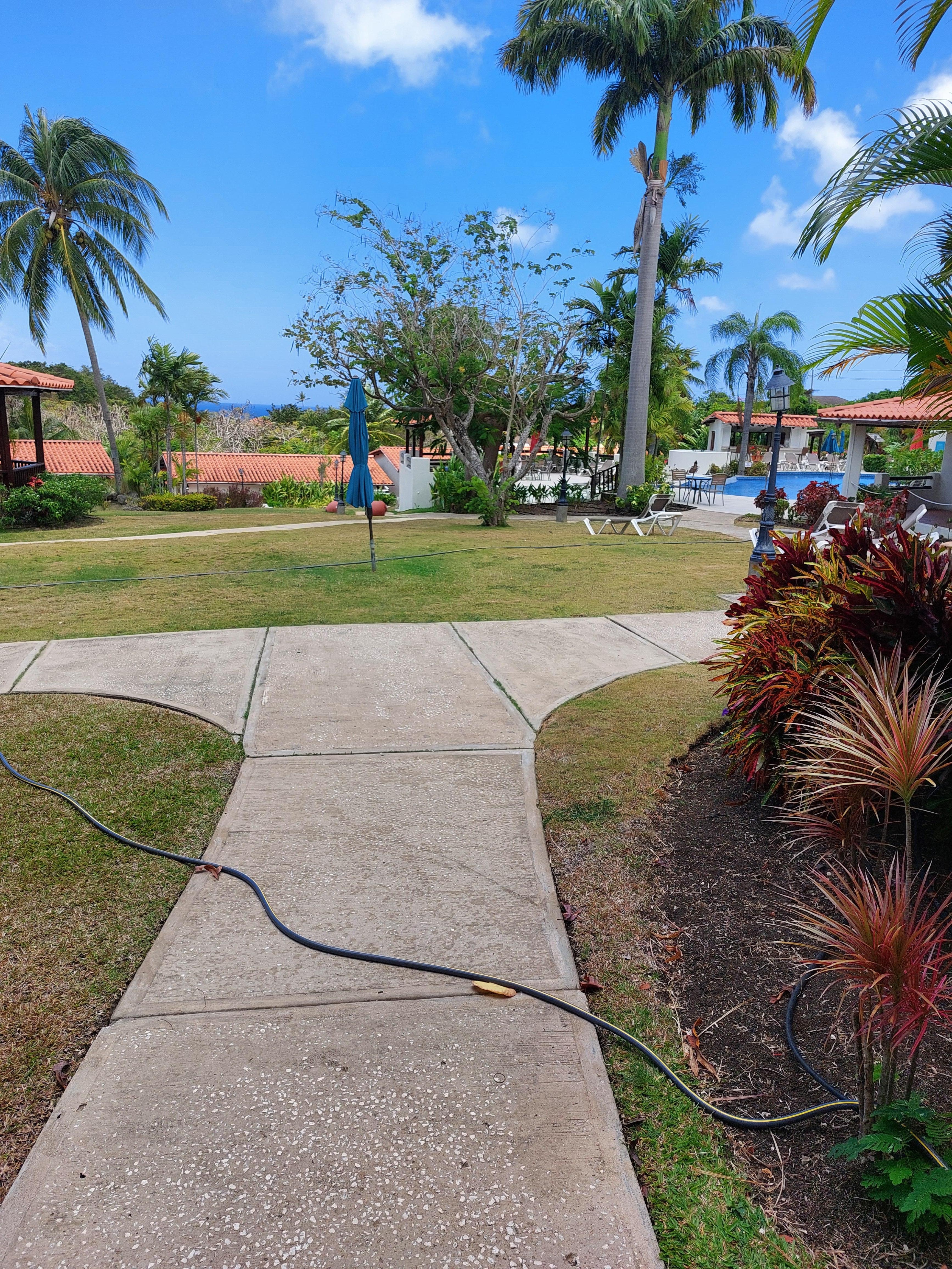 Grounds