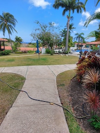 Grounds