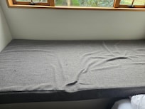 a small sample of flies in end upstairs bedroom