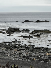 Foggy morning outside the front door.