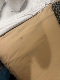 Machas en todas y cada una de la sabanas