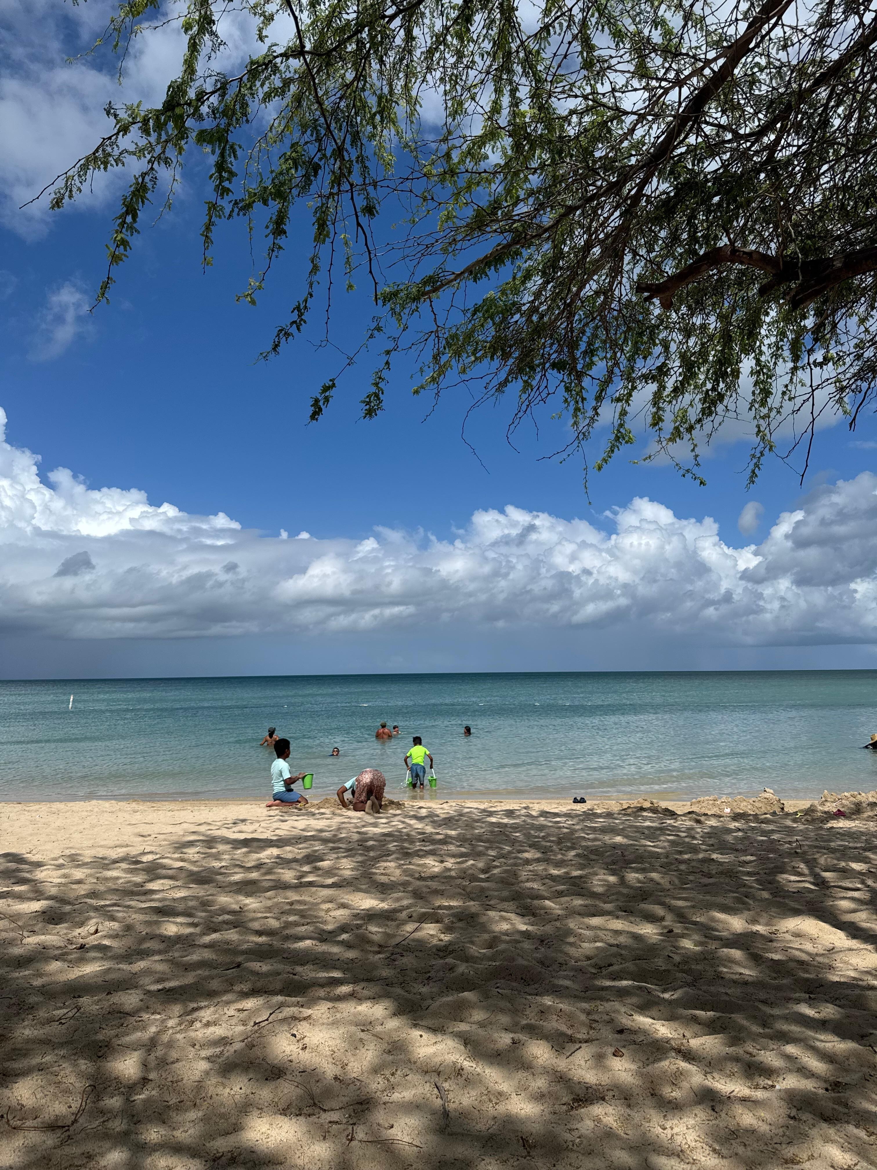 Local beach.