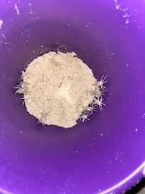 Lots of crabbing fun for the kids