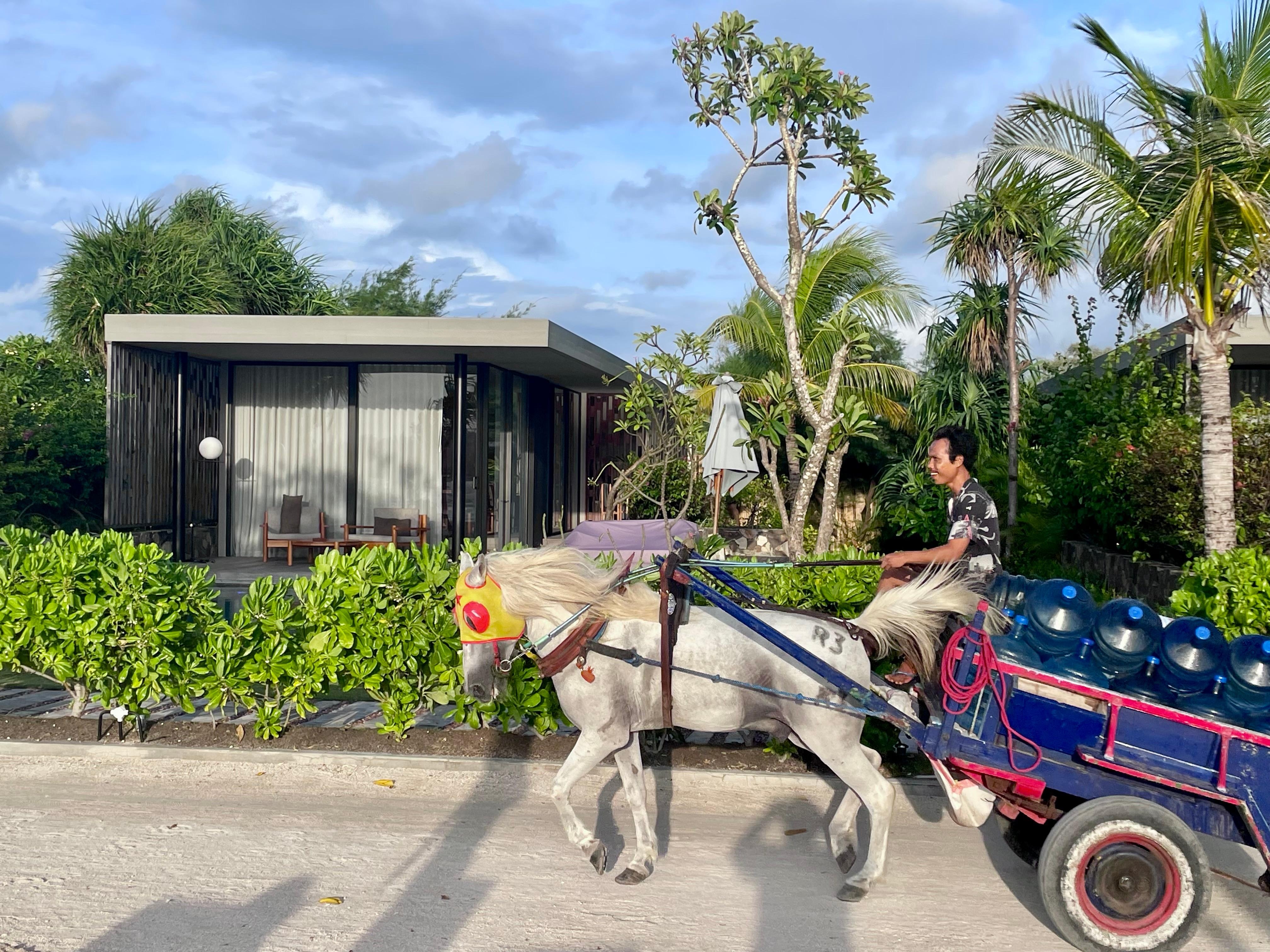 It’s very quaint having no vehicles just the sound of horses going by with the buggies.