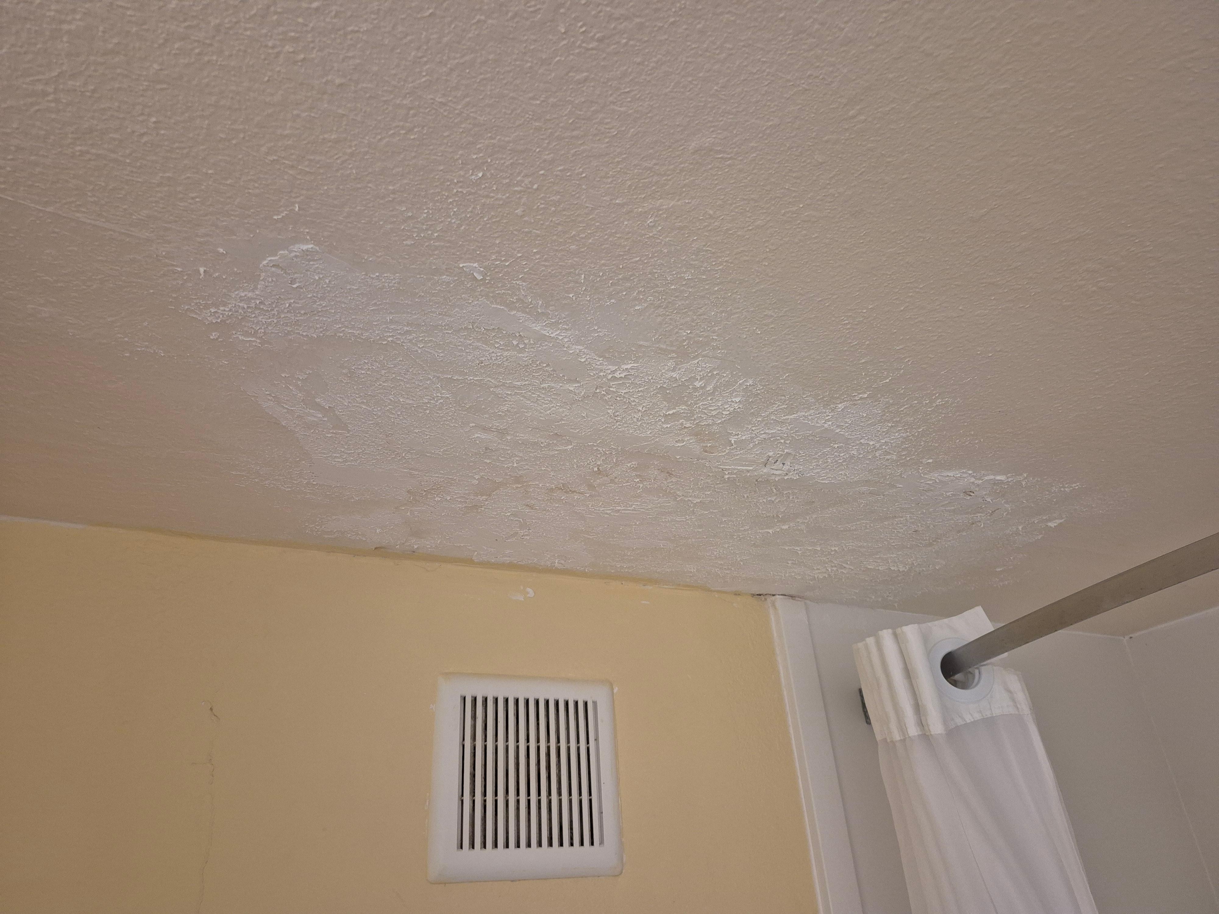 Bathroom ceiling