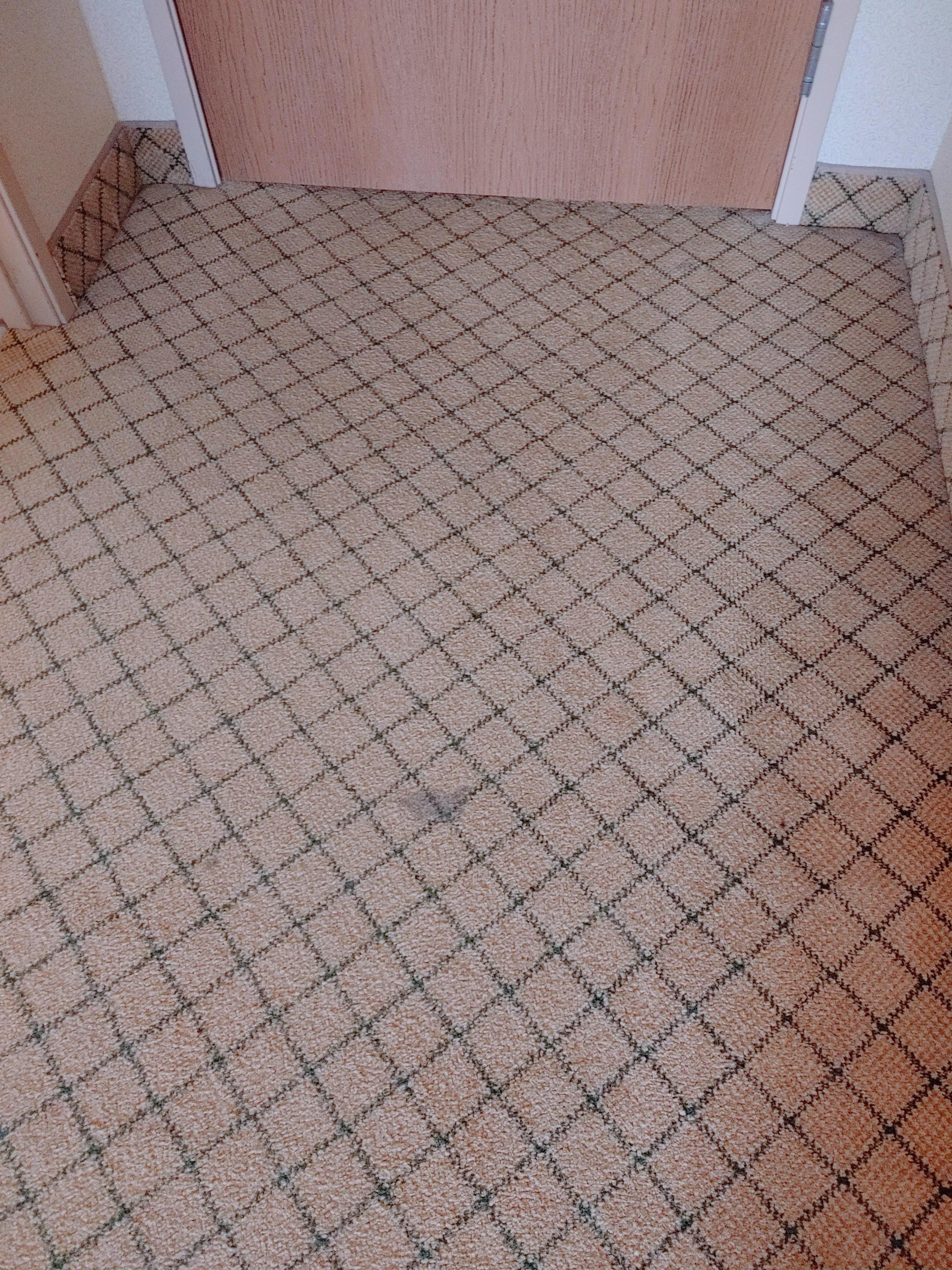 One of several stains on carpet in room