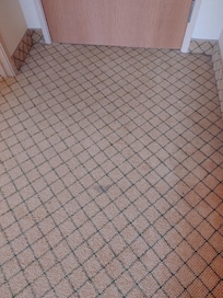 One of several stains on carpet in room