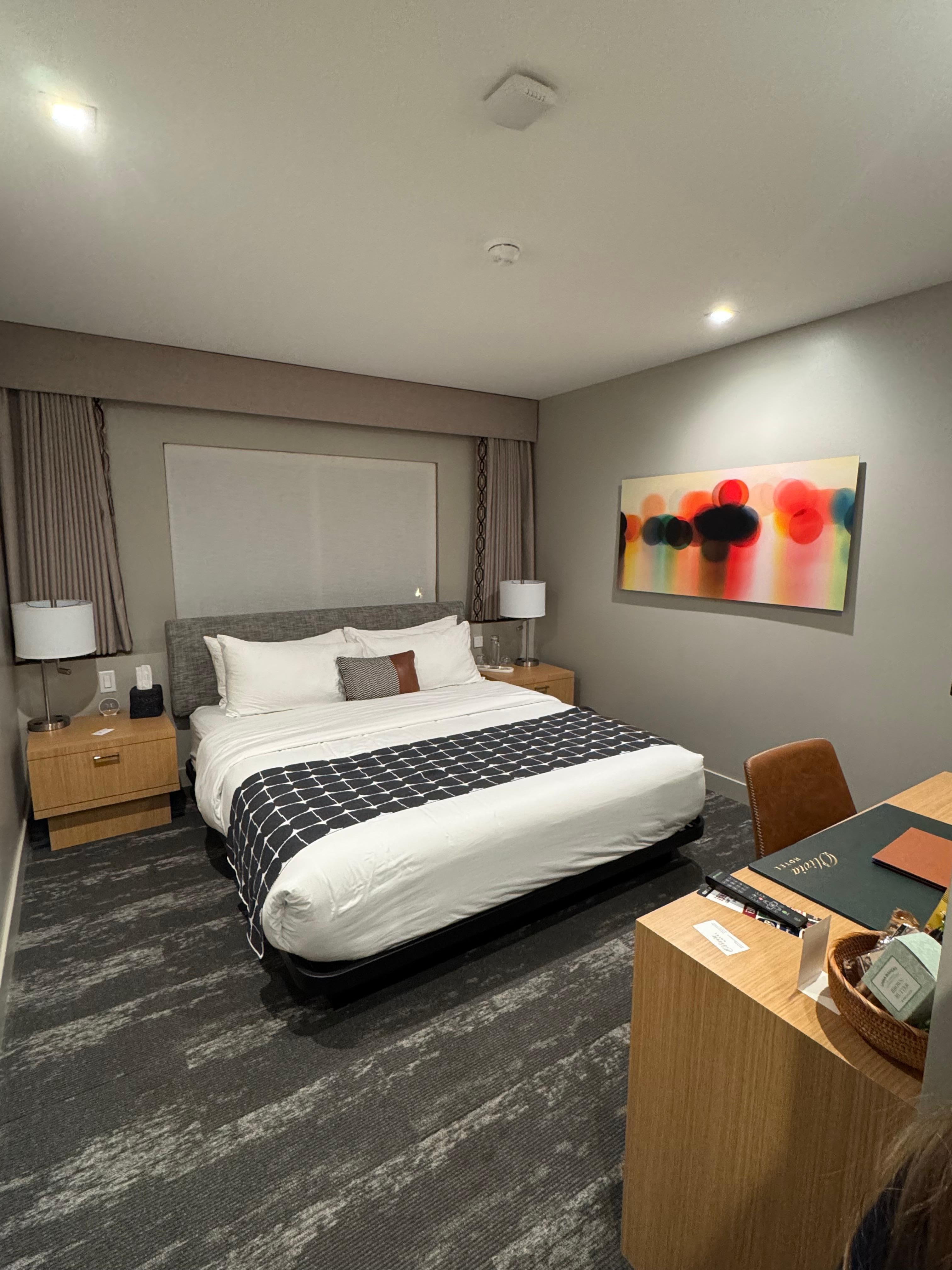 Innenansicht, Fenster mit Fliegengitter, elektrische Vorhänge