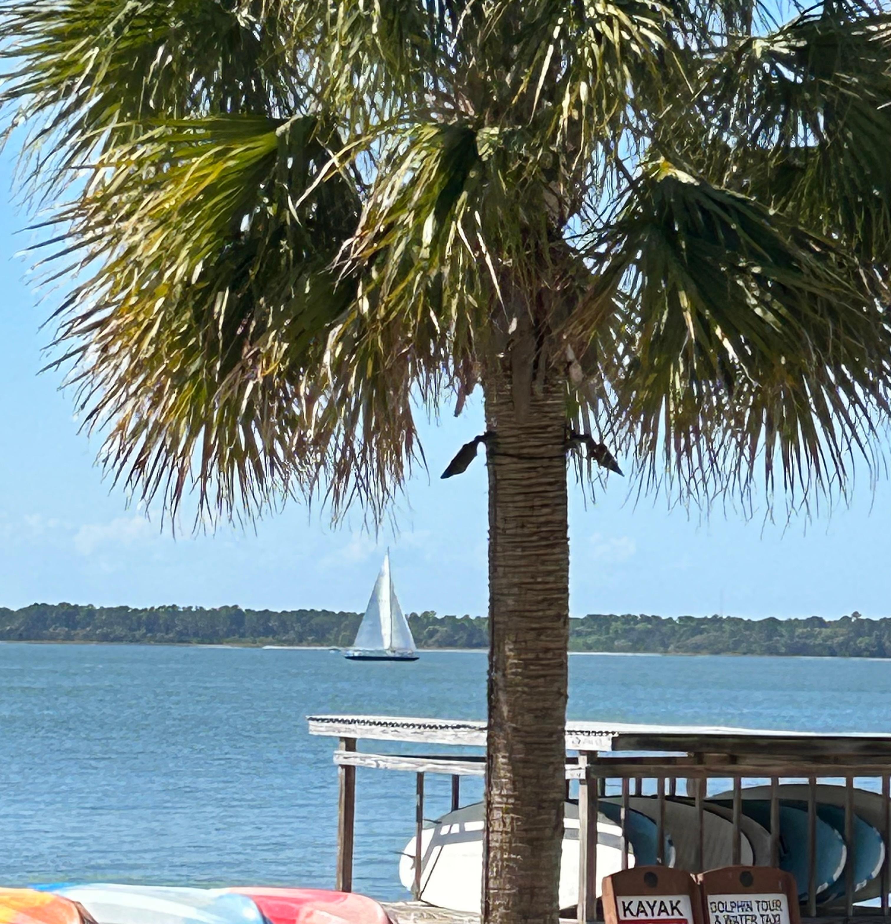 Harbor Town view. We saw dolphins swimming there. 