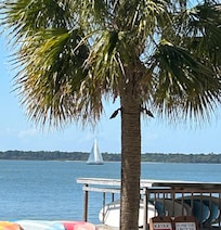 Harbor Town view. We saw dolphins swimming there.
