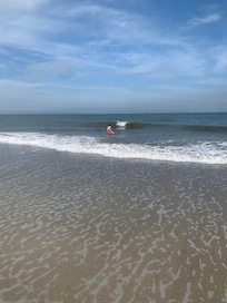 Beach 90 steps from cottage
