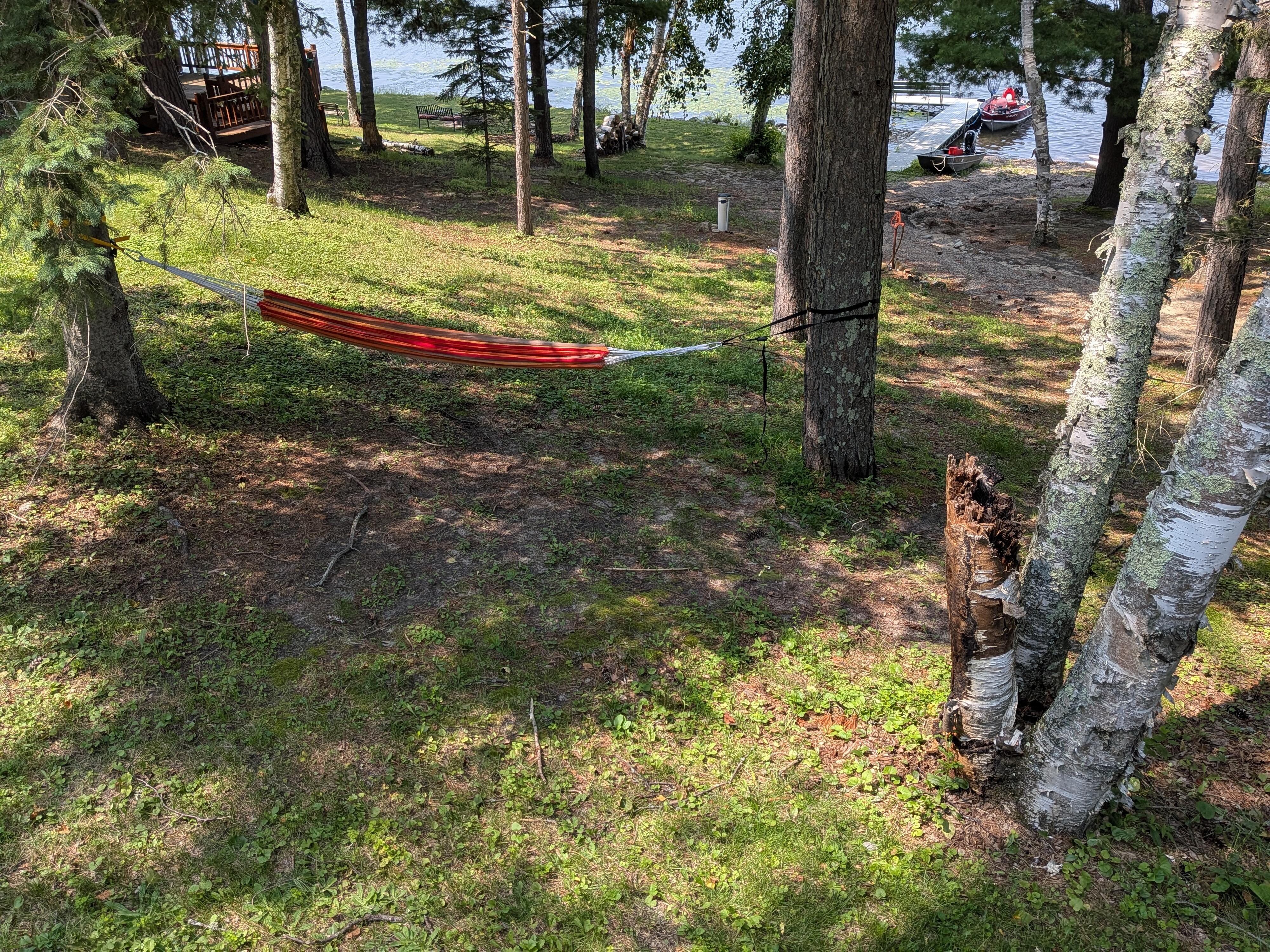 Perfect place to set up our hammock.
