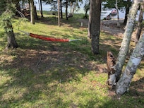 Perfect place to set up our hammock.