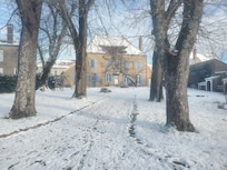 Le jardin enneigé au matin de Noël...
